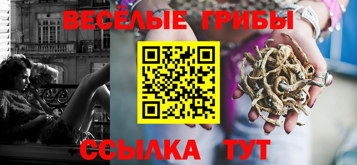 Галлюциногенные грибы Psilocybe  Галлюциногенные грибы мицелий  Кизляр  Вход с VPN 