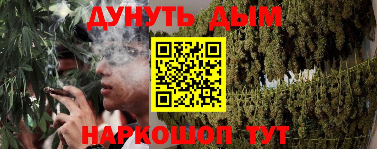 Каннабис семена  Конопля White Widow  Вход с VPN  Бошки Шишки Ganja  Кизляр 